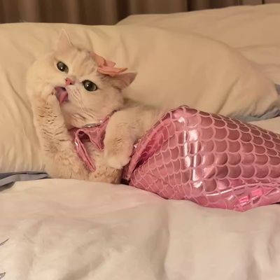 UAMLY Disfraz de sirena para gatos