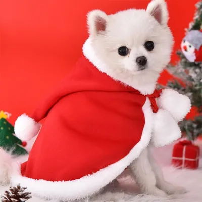 Pawzy  Manteau de Noël pour chats et chiens