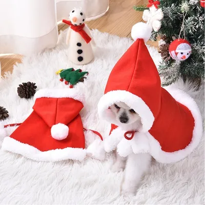Pawzy  Manteau de Noël pour chats et chiens
