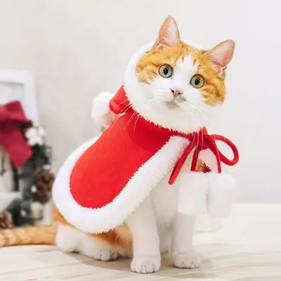 Pawzy  Manteau de Noël pour chats et chiens