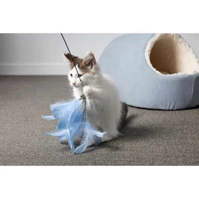 Flamingo - Canne à pêche Nimmy de 61 à 189 cm. couleurs aléatoires pour cha