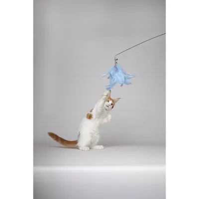 Flamingo - Canne à pêche Nimmy de 61 à 189 cm. couleurs aléatoires pour cha