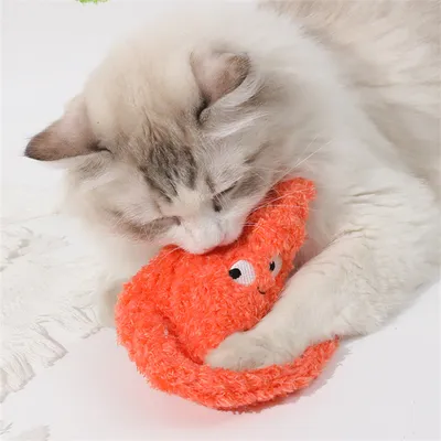 IntiMeg Jouet en forme de fruits et légumes pour chien et chat