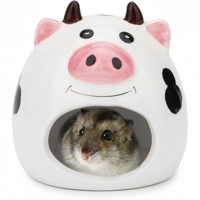 ZooVenture Maisonnette Céramique Pour Hamster