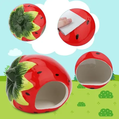 ZooVenture Maisonnette Céramique Pour Hamster
