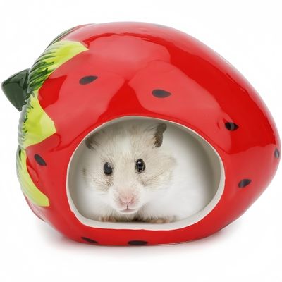 ZooVenture Maisonnette Céramique Pour Hamster