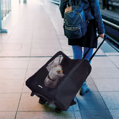 Love Story - Sac de transport à roulettes pour chien et chat