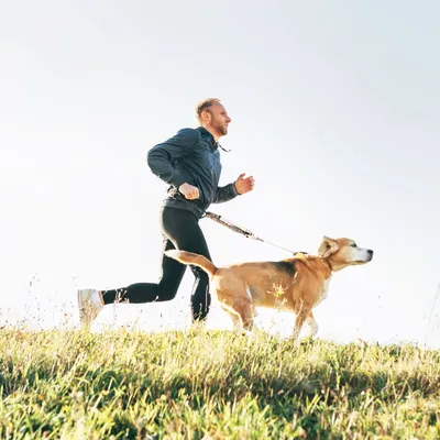 Love Story - Laisse main-libre pour le canicross et la canirando