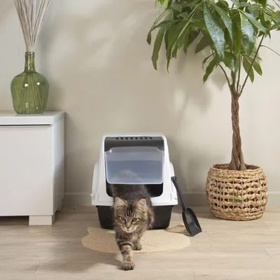 Love Story - Maison de toilette litière pour chat avec pelle SOCKS