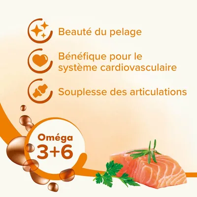 BEAPHAR   Huile De Saumon Chien-Chat