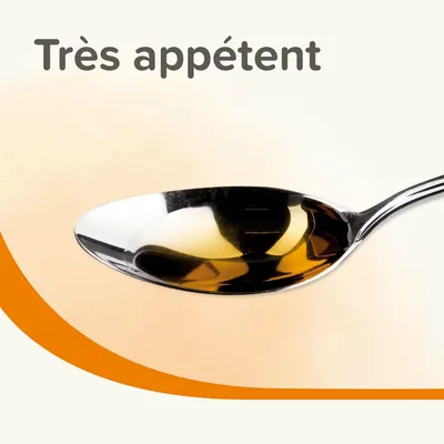 BEAPHAR   Huile De Saumon Chien-Chat