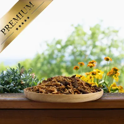 Lyra Pet® Protein Boost Insectes Mix