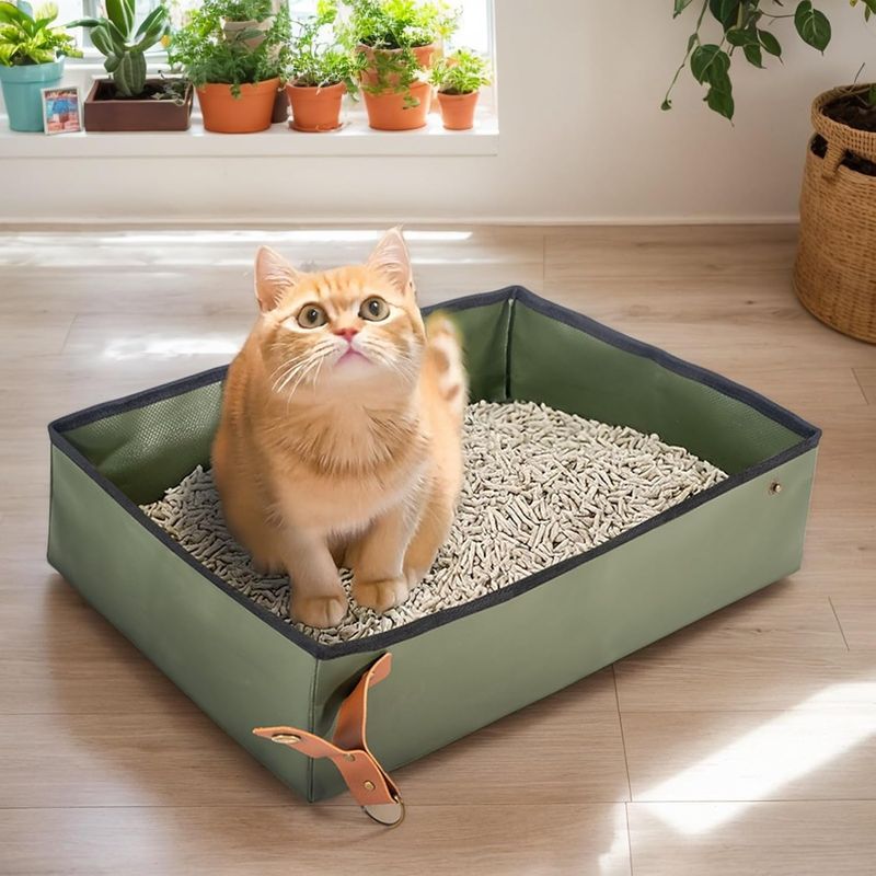 Bac à litière portable pour chat de voyage