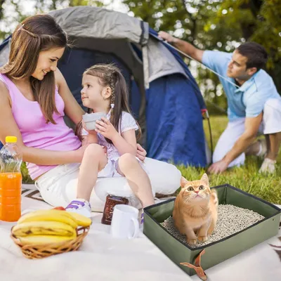 Bac à litière portable pour chat de voyage