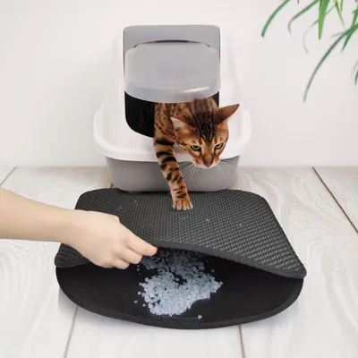Tapis de litière pour chat avec récupérateur - Noir