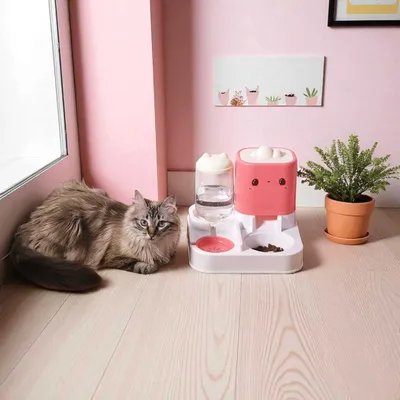 Distributeur d'eau et de croquettes pour chien et chat KAWAI