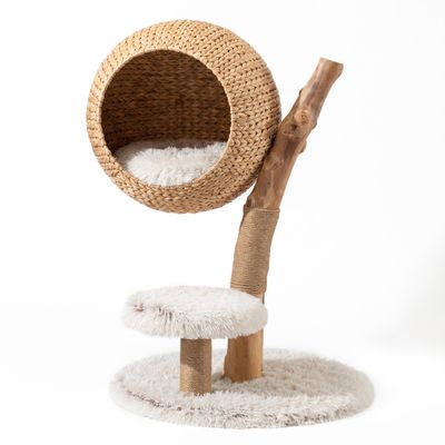 Fudajo Arbre à chat - 83 cm de haut - Meuble grattage félin peluche - Coule