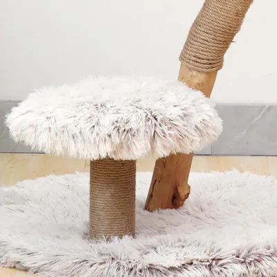 Fudajo Arbre à chat - 83 cm de haut - Meuble grattage félin peluche - Coule