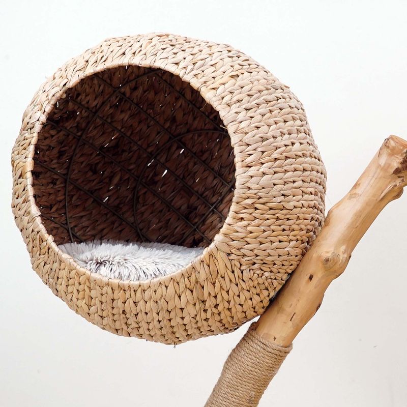 Fudajo Arbre à chat - 83 cm de haut - Meuble grattage félin peluche - Coule