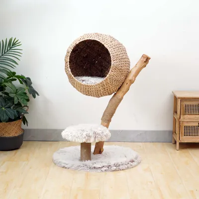 Fudajo Arbre à chat - 83 cm de haut - Meuble grattage félin peluche - Coule