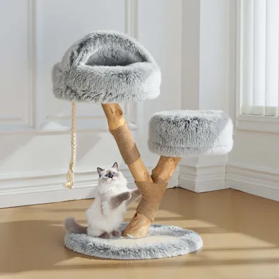 Fudajo Arbre à chat - 80 cm de haut - design ludique « Branche » - Meuble g