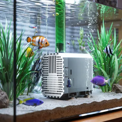SunSun CHJ-600 Eco Pompe à eau 600l/h 8W Pompe Mini et Moyen Aquarium Débit