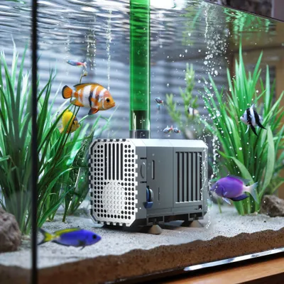 SunSun CHJ-1500 Eco Pompe à eau 1500l/h 25W Pompe Mini et Moyen Aquarium Dé