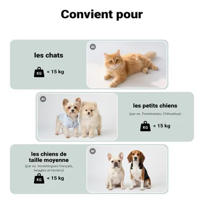 Fudajo Caisse de transport Grise - taille L / 70 x 52 x 50 cm - charge max. Fudajo Caisse de transport Grise - taille L / 70 x 52 x 50 cm - charge max.