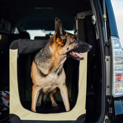 Fudajo Caisse de transport - taille XXXL / 101 x 68 x 70 cm / charge max 30