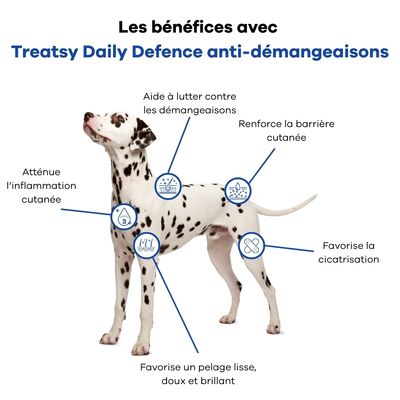 Treatsy Complément Alimentaire - Anti-Démangeaisons pour chiens