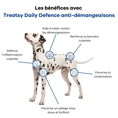 Treatsy Complément - Anti-Démangeaisons pour chiens - lot de 2x30 bouchées