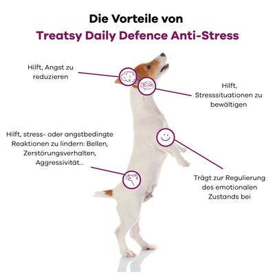 Treatsy Nahrungsergänzungsmittel – Anti-Stress für Hunde