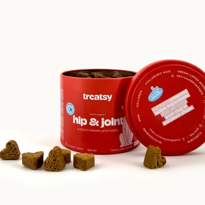 Treatsy Complément Alimentaire - Mobilité Articulations pour chien Lot de 2