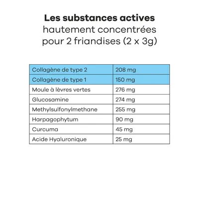 Treatsy Complément Alimentaire - Mobilité Articulations pour chien Lot de 2