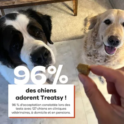 Treatsy Complément Alimentaire - Mobilité Articulations pour chien Lot de 2