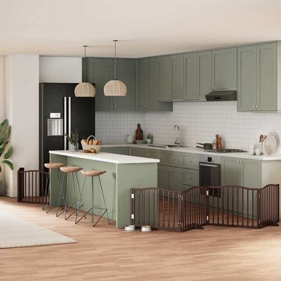 vidaXL Barrière en bois de peuplier pour chien