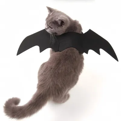 FurryFusion Fledermaus-Kostüm für Katzen zu Halloween FurryFusion Fledermaus-Kostüm für Katzen zu Halloween