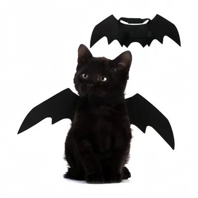 FurryFusion Disfraz de gato murciélago para Halloween