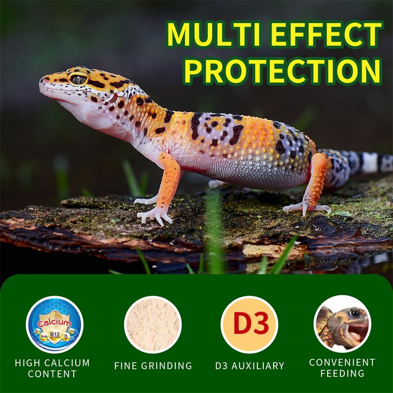 IntiMeg Poudre de Calcium avec Vitamine D3 pour Reptiles
