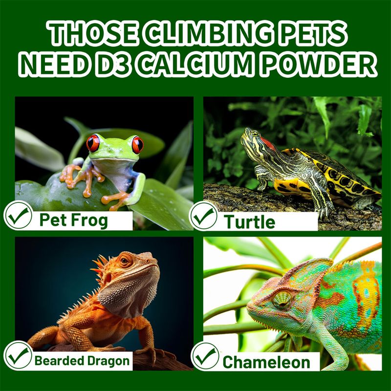 IntiMeg Poudre de Calcium avec Vitamine D3 pour Reptiles