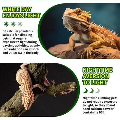 IntiMeg Poudre de Calcium avec Vitamine D3 pour Reptiles