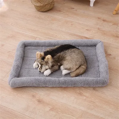 IntiMeg Panier rectangulaire pour Chiens et Chats