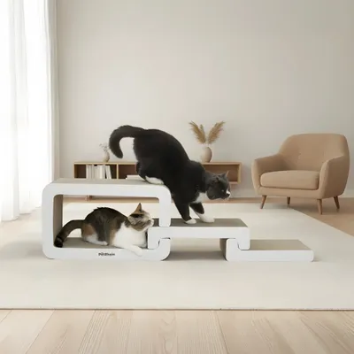 PetRhein Carton à gratter Aura Ridge Series