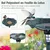 GIANTEX Mangeoire Oiseaux Exterieur avec Lumière Solaire