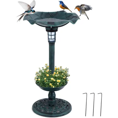 GIANTEX Bain Oiseaux Sauvages Lumière Solaire Forme en Feuille,Jardinière