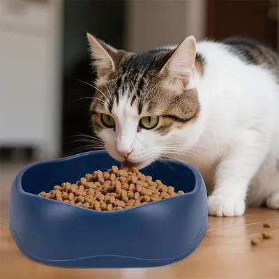 IntiMeg Fontaine à eau pour chat , 2.5L , 30dB