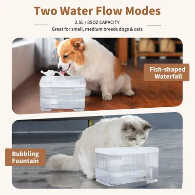 IntiMeg Fontaine à eau pour chat , 2.5L , 30dB