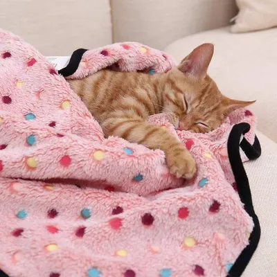 IntiMeg Couvertures pour chat et chien - 3