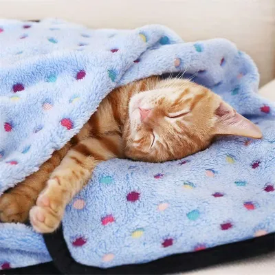 IntiMeg Couvertures pour chat et chien - 3