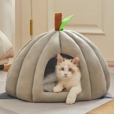 FurryFusion lit pour chat